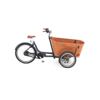 Babboe Flow mountain