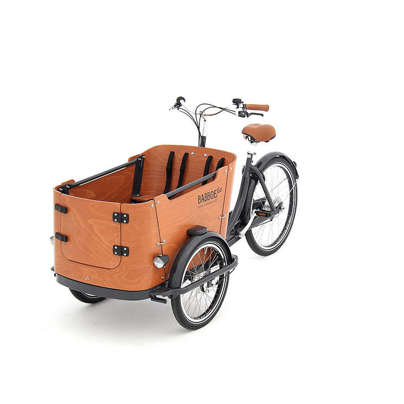 Babboe Go - immagine 2