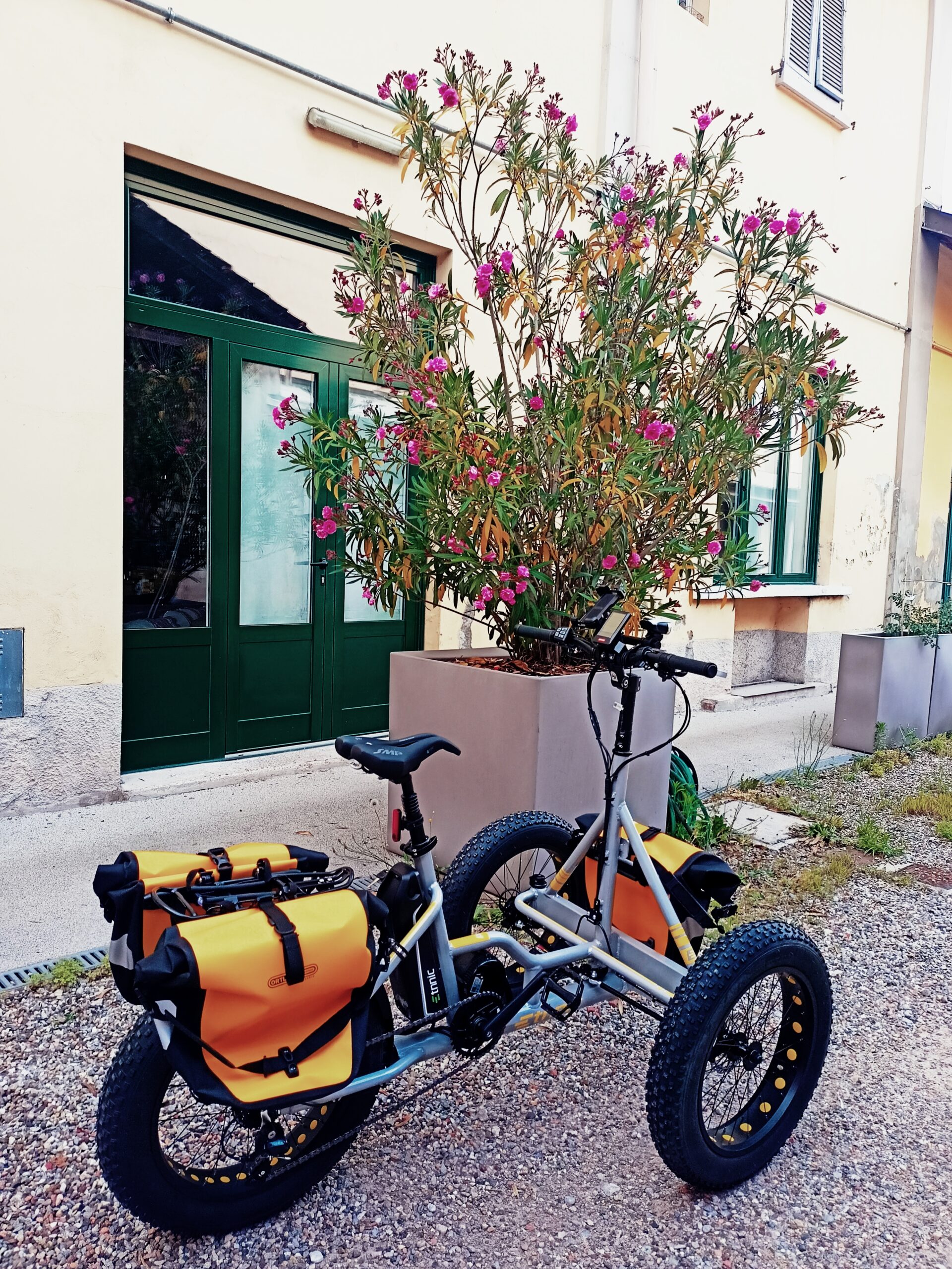Etnnic FAT (usato) - immagine 2