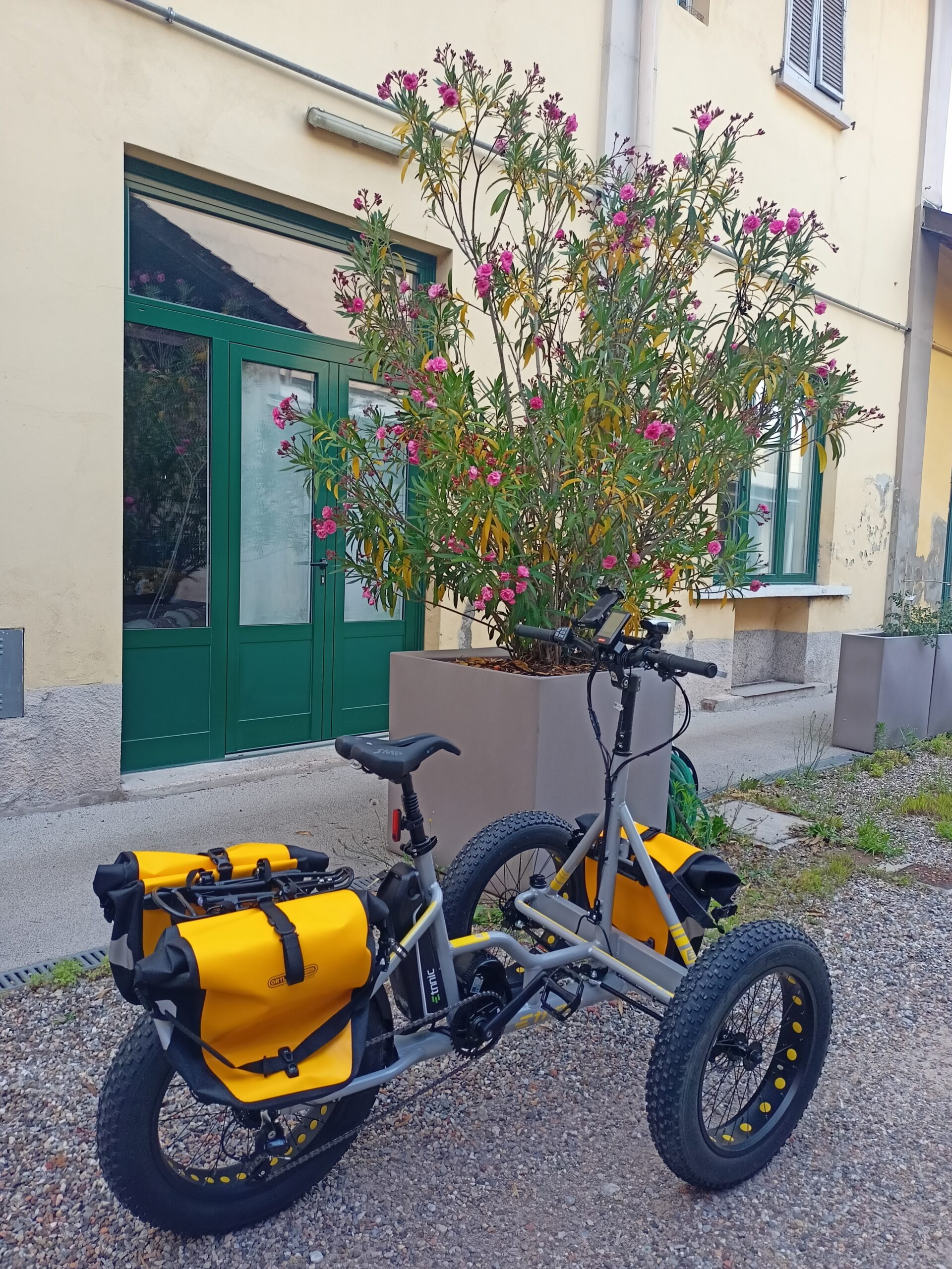 Etnnic FAT (usato) - immagine 6