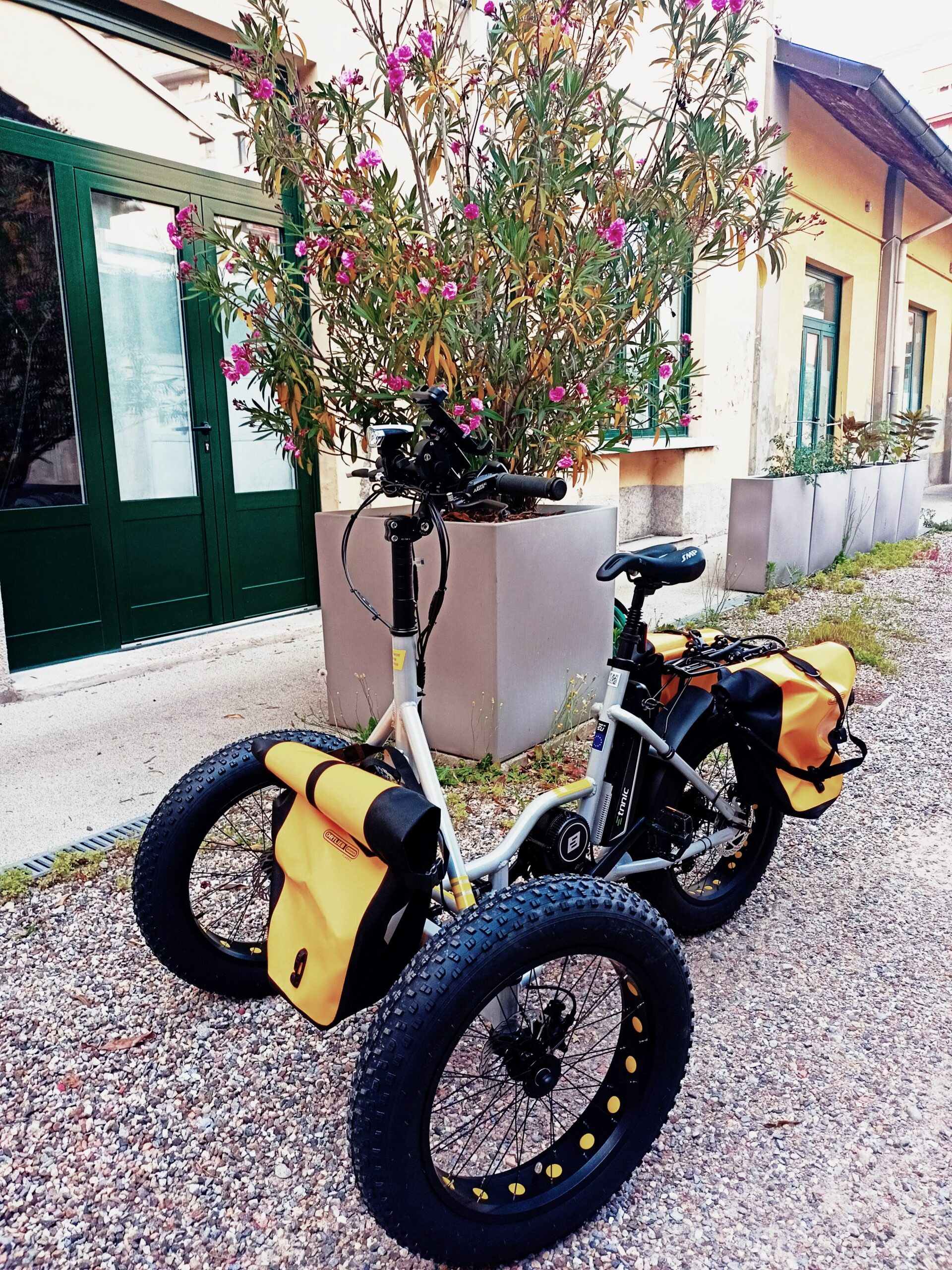 Etnnic FAT (usato) - immagine 3