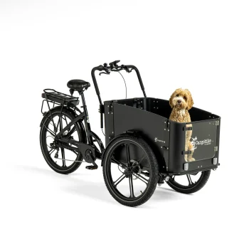 Cargobike Flex Dog