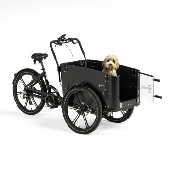 Cargo bike Delight Dog da trasporto cani e bambini