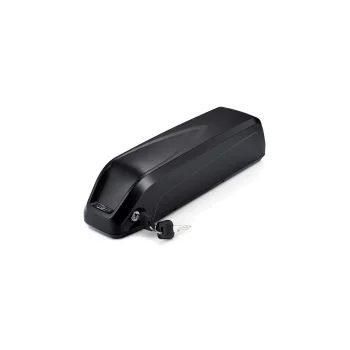 Batteria 19.6Ah Delight 1-pin