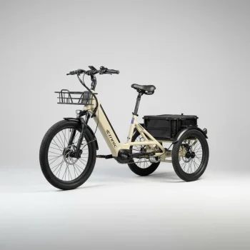 Etnnic Classic versione City, triciclo elettrico per adulti con cargo, vista principale