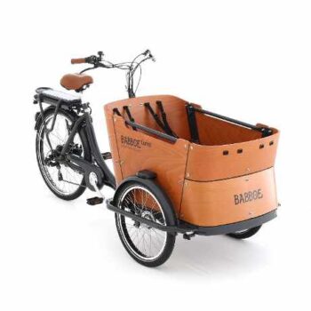 babboe e-curve cargo bike elettrica trasporto bambini